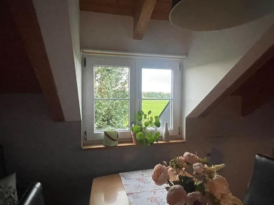 Panorama Saentisblick Apartment Hergatz ภายนอก รูปภาพ