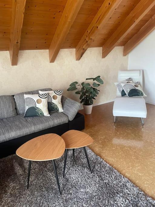 Panorama Saentisblick Apartment Hergatz ภายนอก รูปภาพ